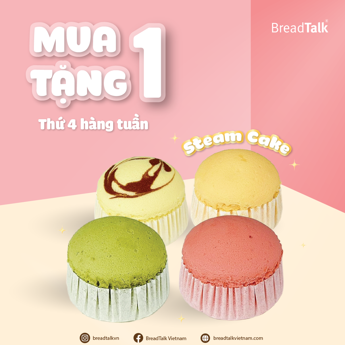 HAPPY WEDNESDAY - STEAMCAKE BUY 1 GET 1 FREE
