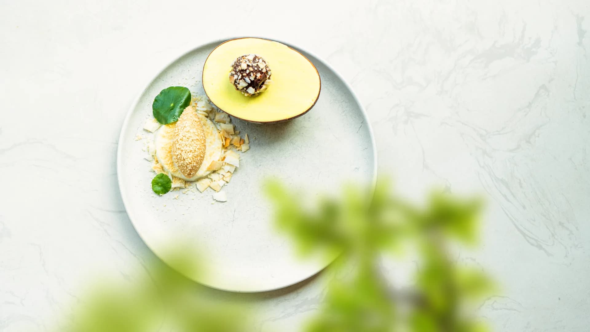 Miyama – Modern Tokyo Restaurant Cafe