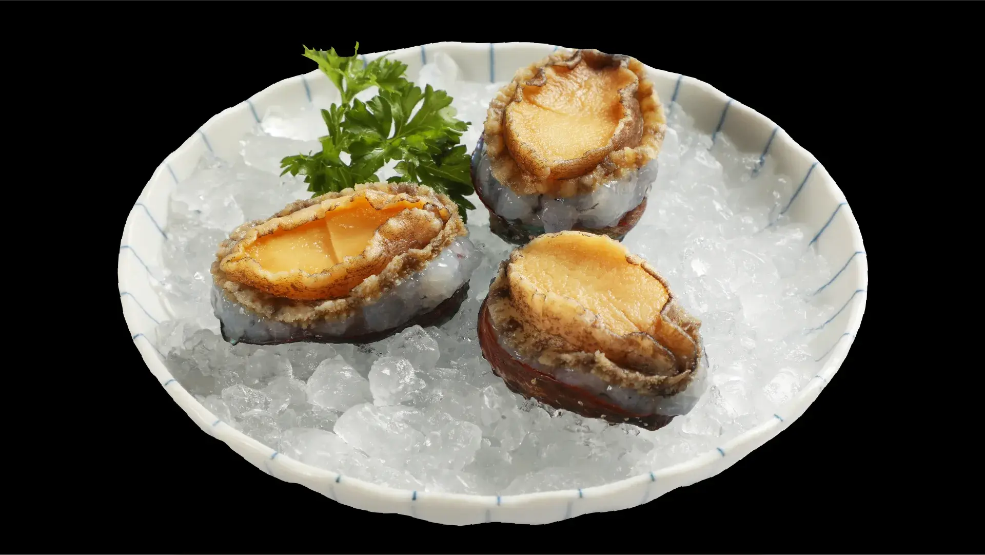Asanoha 