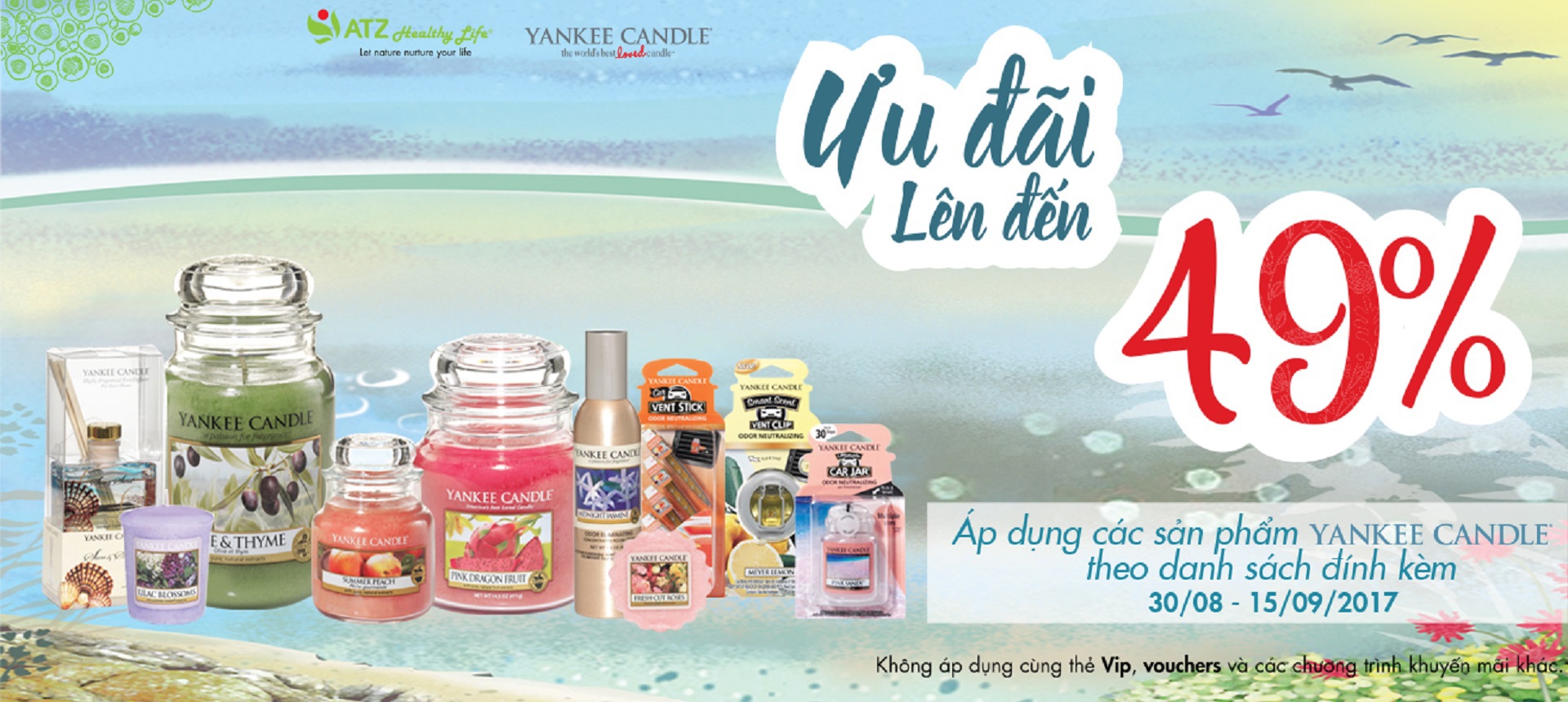 SALE 49% - YANKEE DEAL