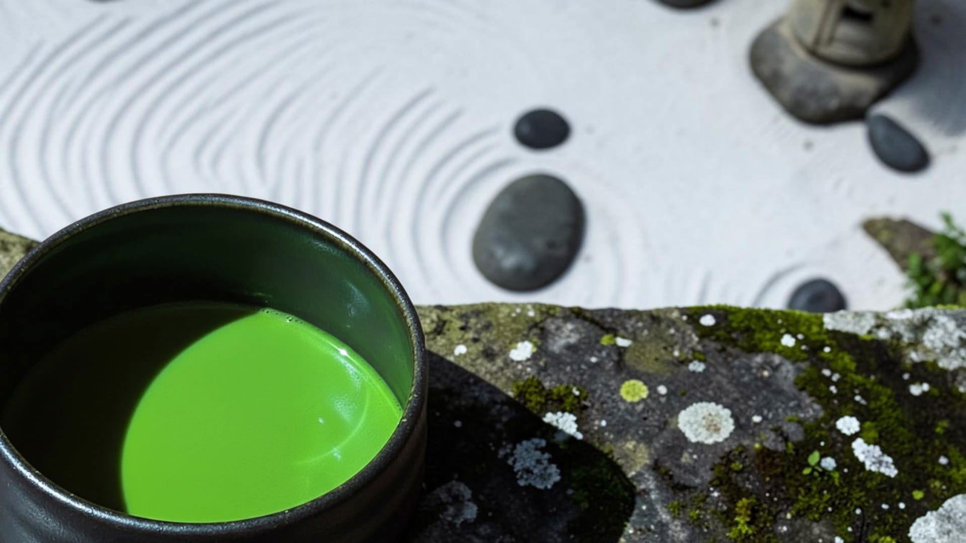 Nagocha