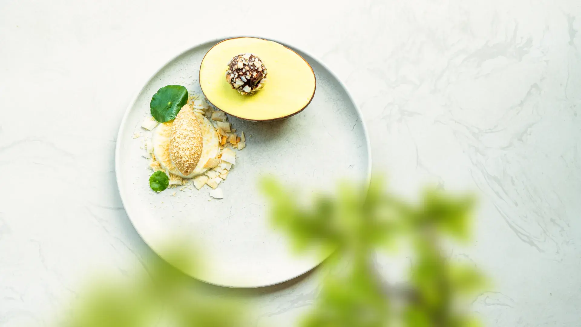 Miyama – Modern Tokyo Restaurant Cafe