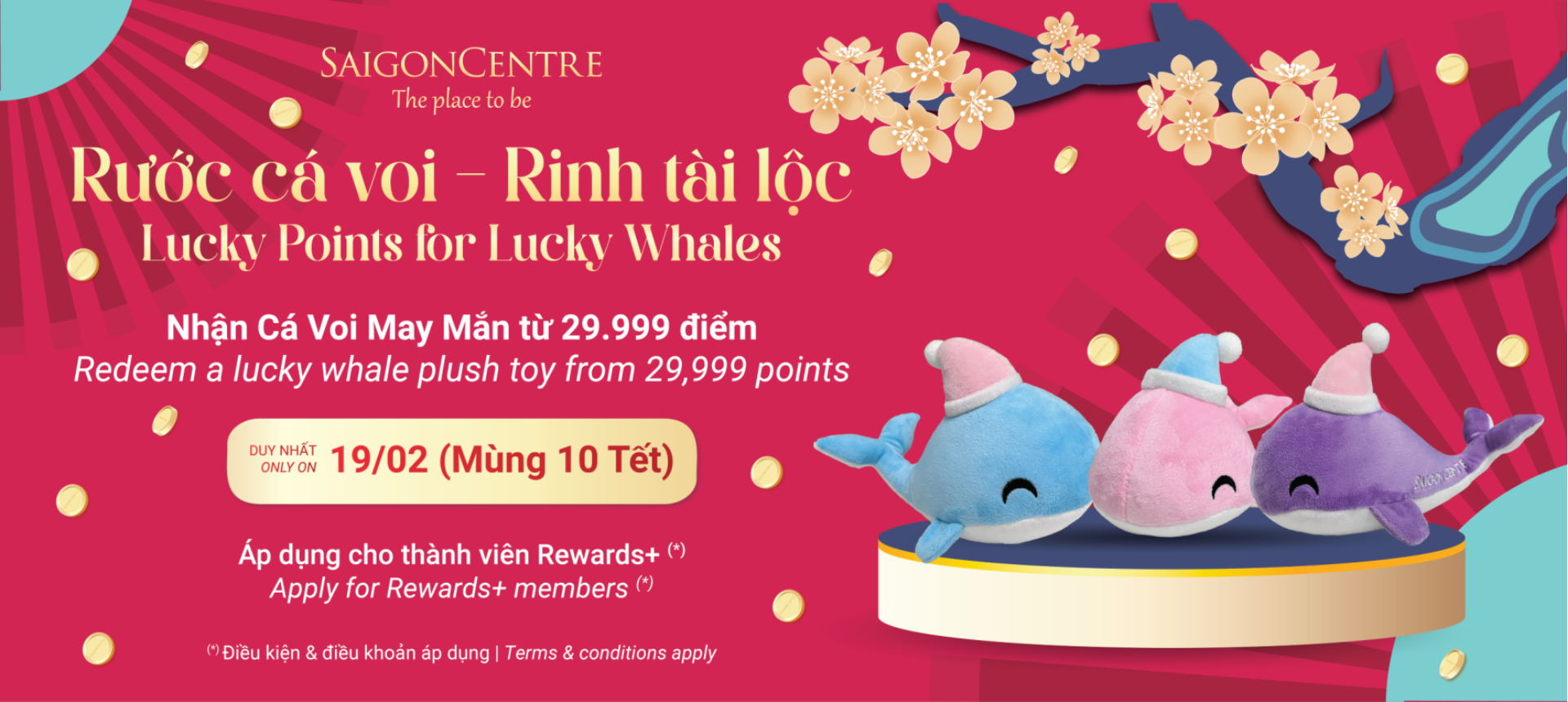 LUCKY POINTS FOR LUCKY WHALES