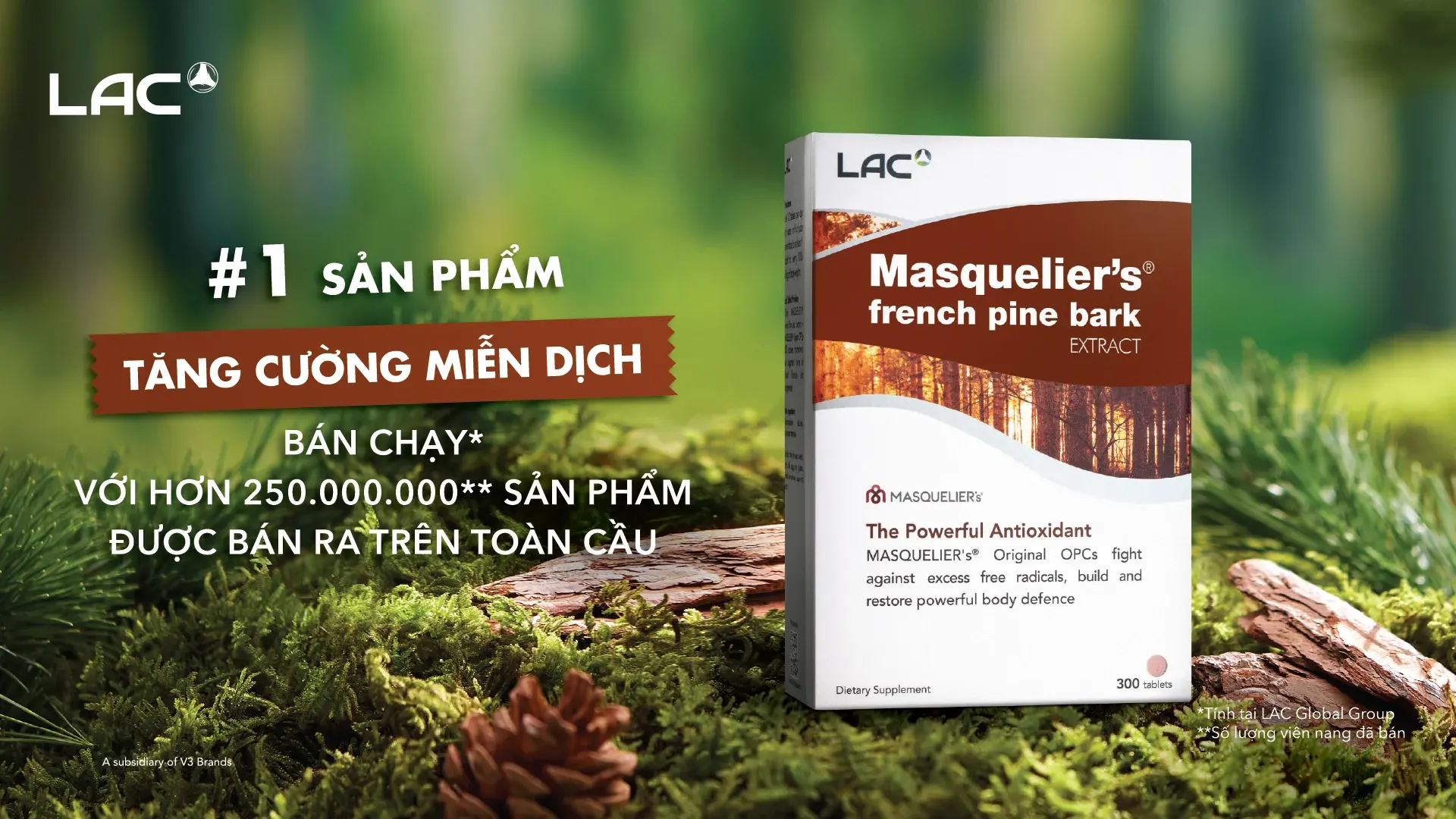 LAC VIỆT NAM